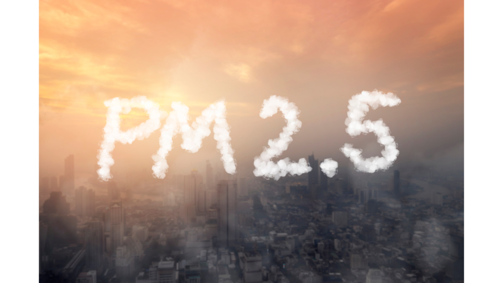 PM2.5 มีผลต่อเลือดอย่างไร