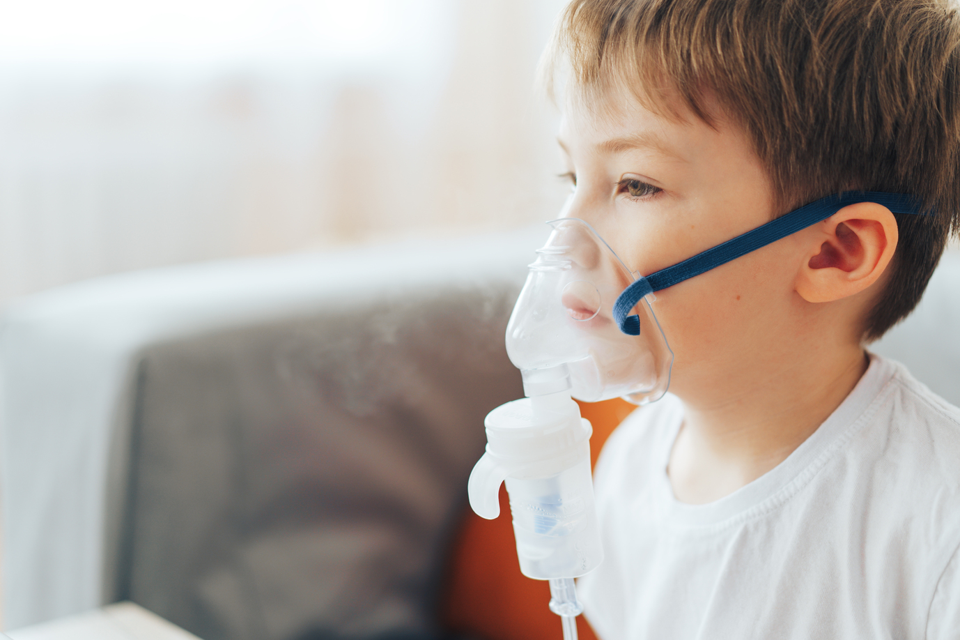 หืดหอบ (Asthma)